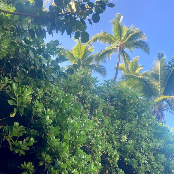 Meet your Posher, Jessie Leigh - Picture 9 of 11